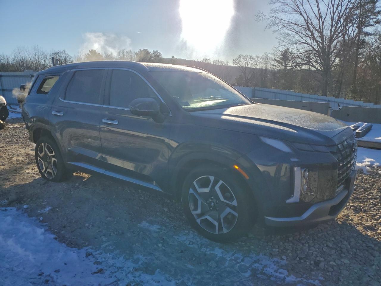2024 Hyundai Palisade Limited - Фото 4