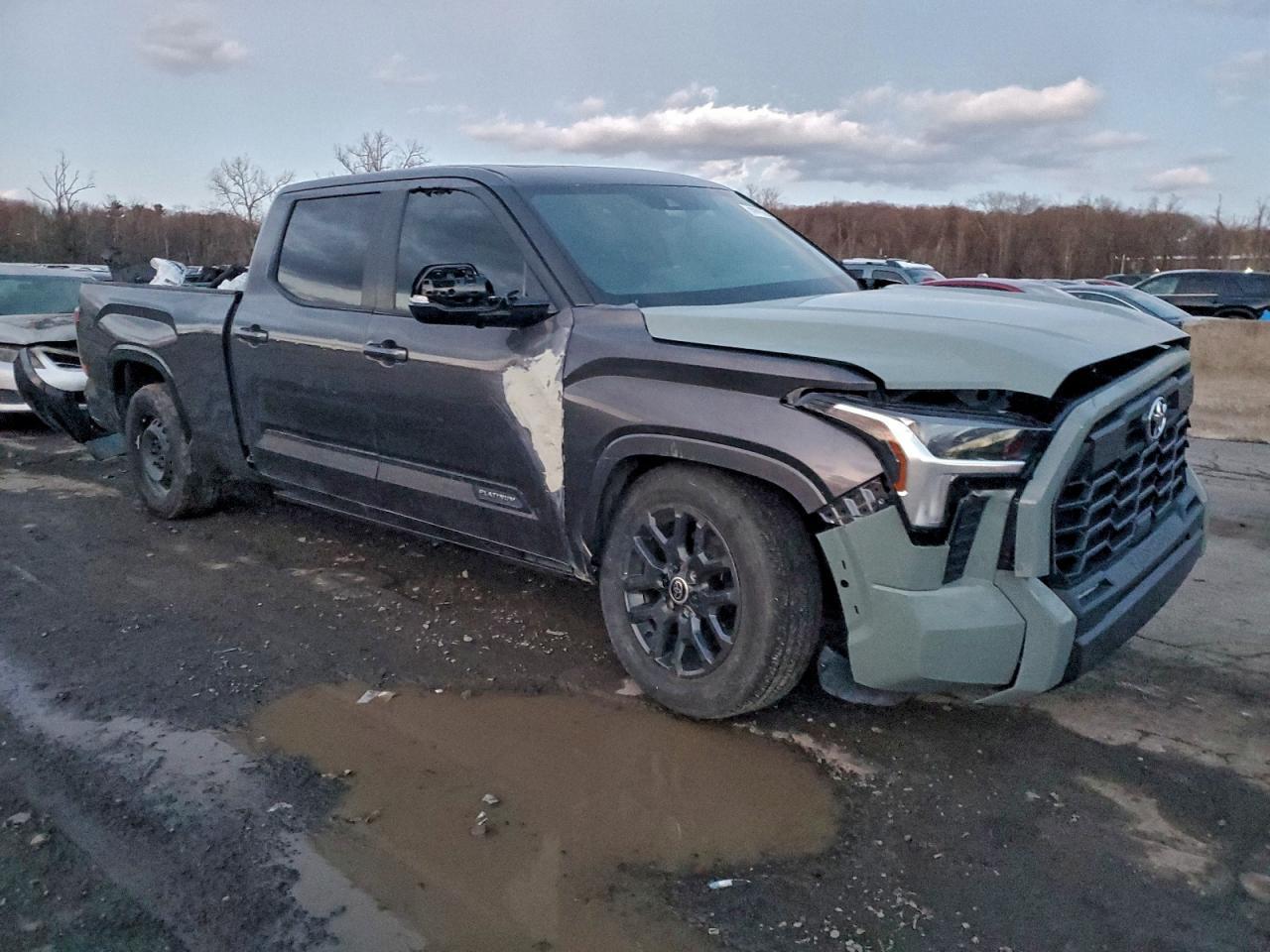 2024 Toyota Tundra Crewmax Platinum - Фото 4