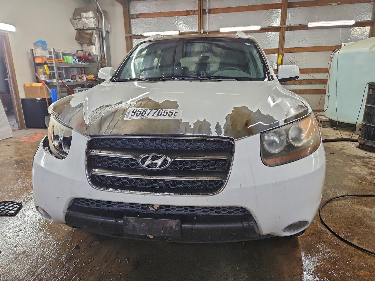 2007 Hyundai Santa Fe Se - Фото 5