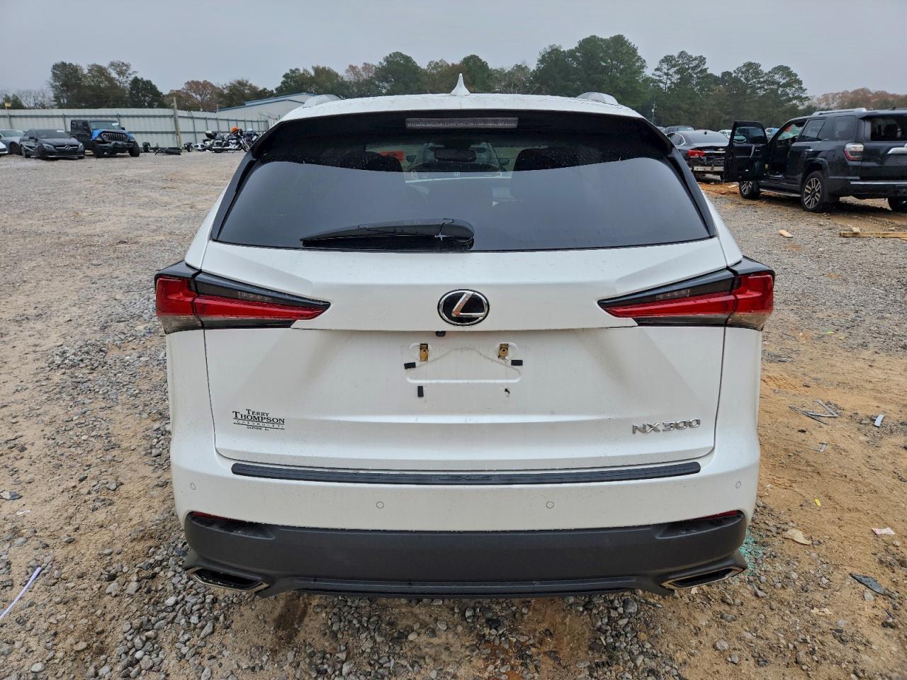2018 Lexus Nx 300 Base - Фото 6