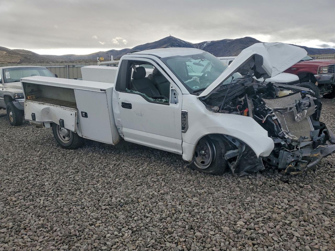 2022 Ford F250 Sd 2Wd V8 Ffv Reg Cab 6.2L Xl Utility / Service Body - Фото 4