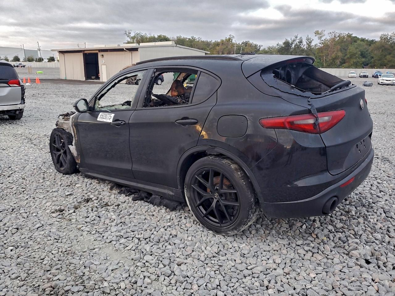 2019 Alfa Romeo Stelvio - Фото 2